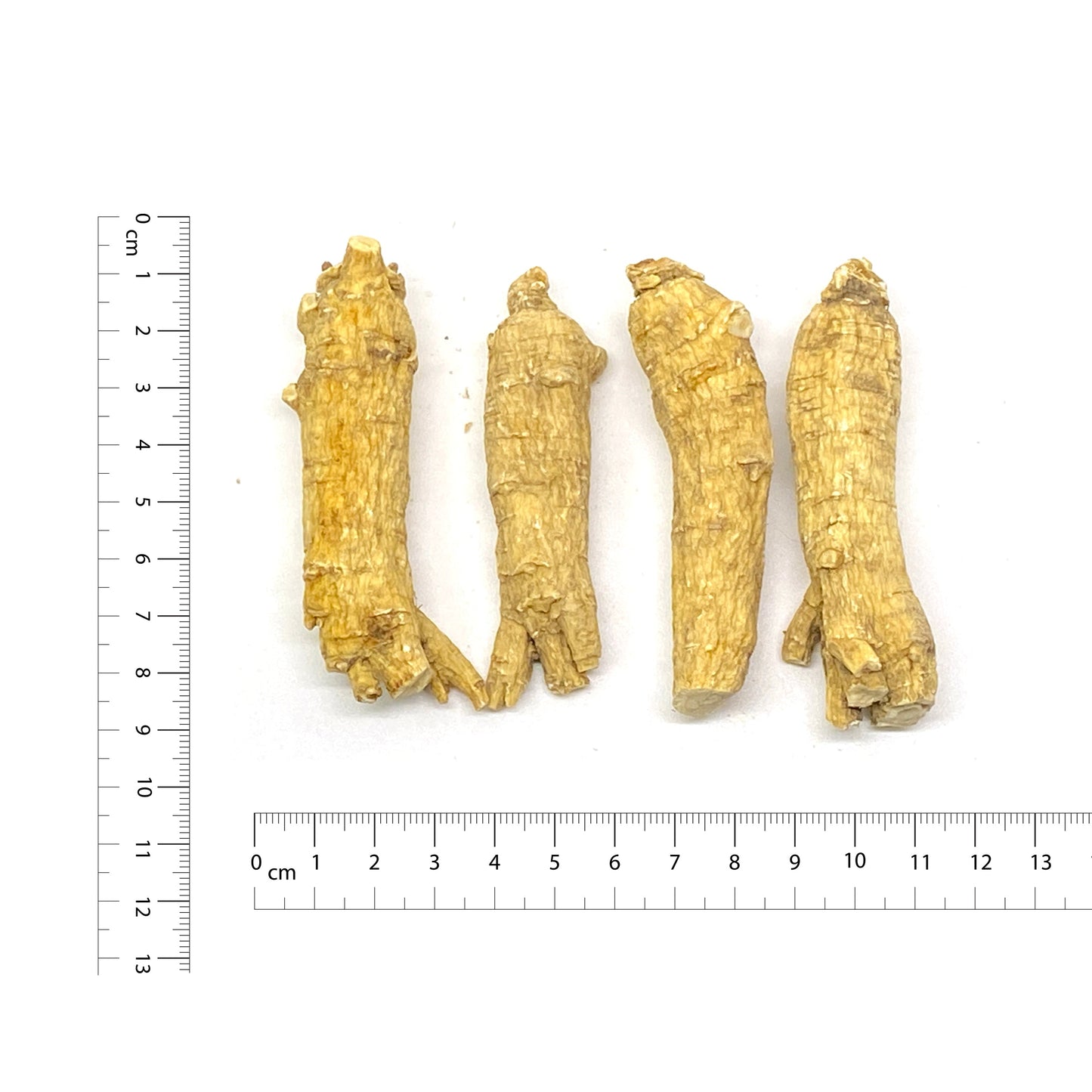 美國花旗參 L3 - 4 oz