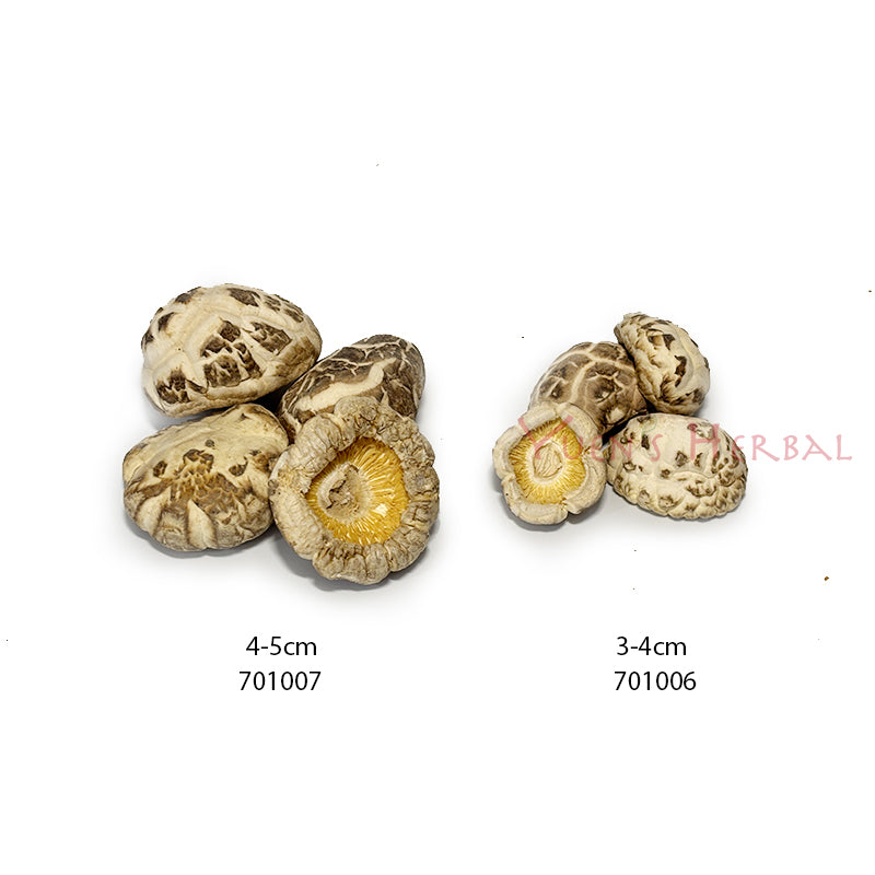 Premium Japanese Dried White Flower Mushroom / Dried Flower Shiitake Mushroom (Donko) 4-5cm 701007