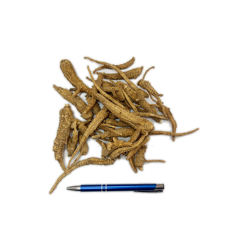 American Ginseng -AG-S2-D - 201014