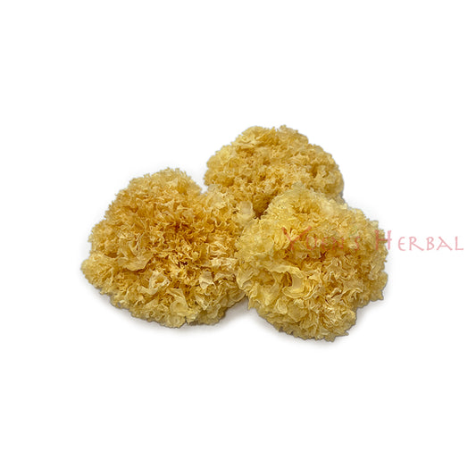 Premium Natural Snow Fungus -L- 701021