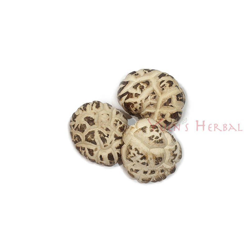 White Shiitake Mushroom 4-5cm - 701025