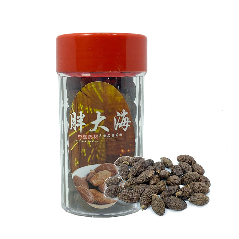 船 - 实实胖大海种子Ê
