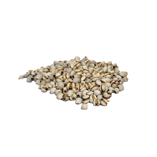 Premium Coix Seed (Job's Tears / Semen Coicis) 801042