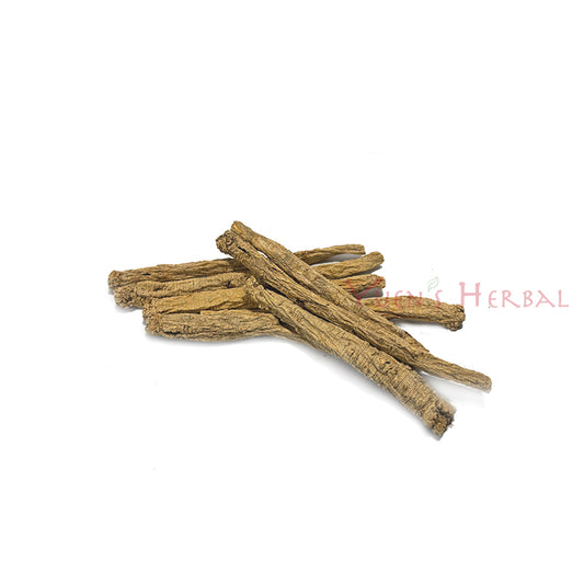 Premium Gansu Codonopsis Root 801048W