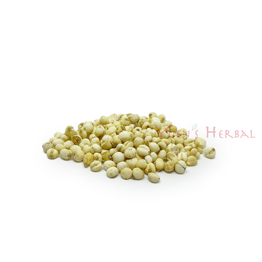 Premium Natural Tendrilleaf Fritillary Bulb (Chuan Bei Mu) - 80106803