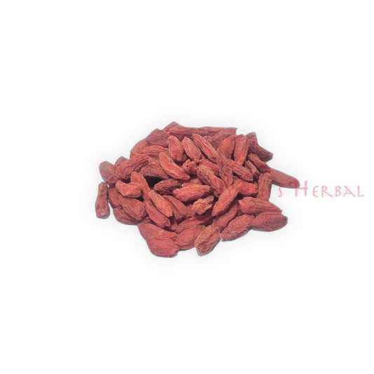 Goji Berry／Lycium barbarum - S - 801087