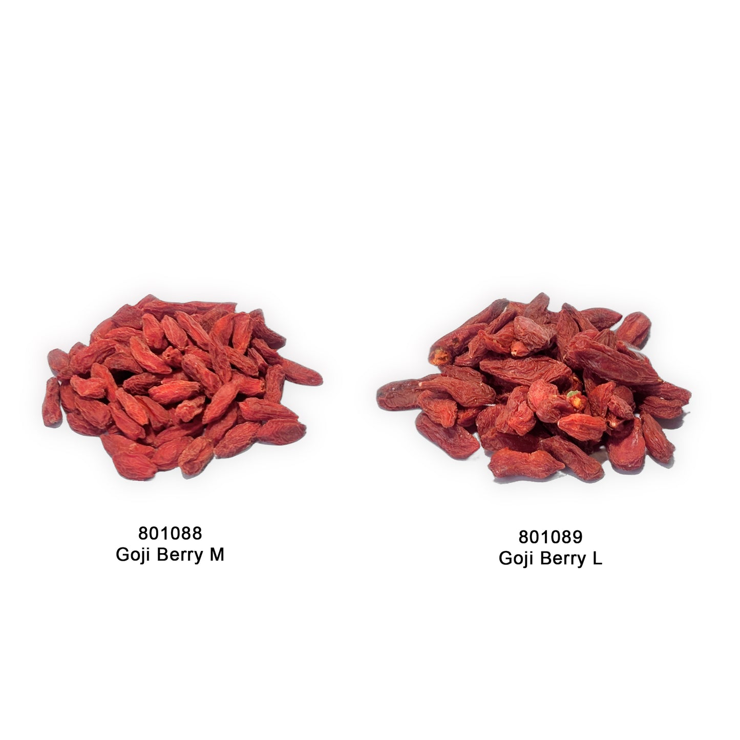 Goji Berry／Lycium barbarum - L - 801089