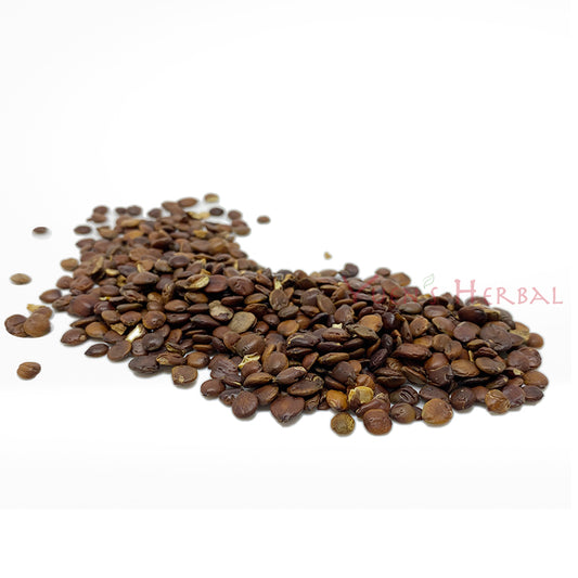 Premium Wild Jujube Seed (Semen Zizyphi Spinosae / Suan Zao Ren) – Natural Herbal Botanical Tea 801106