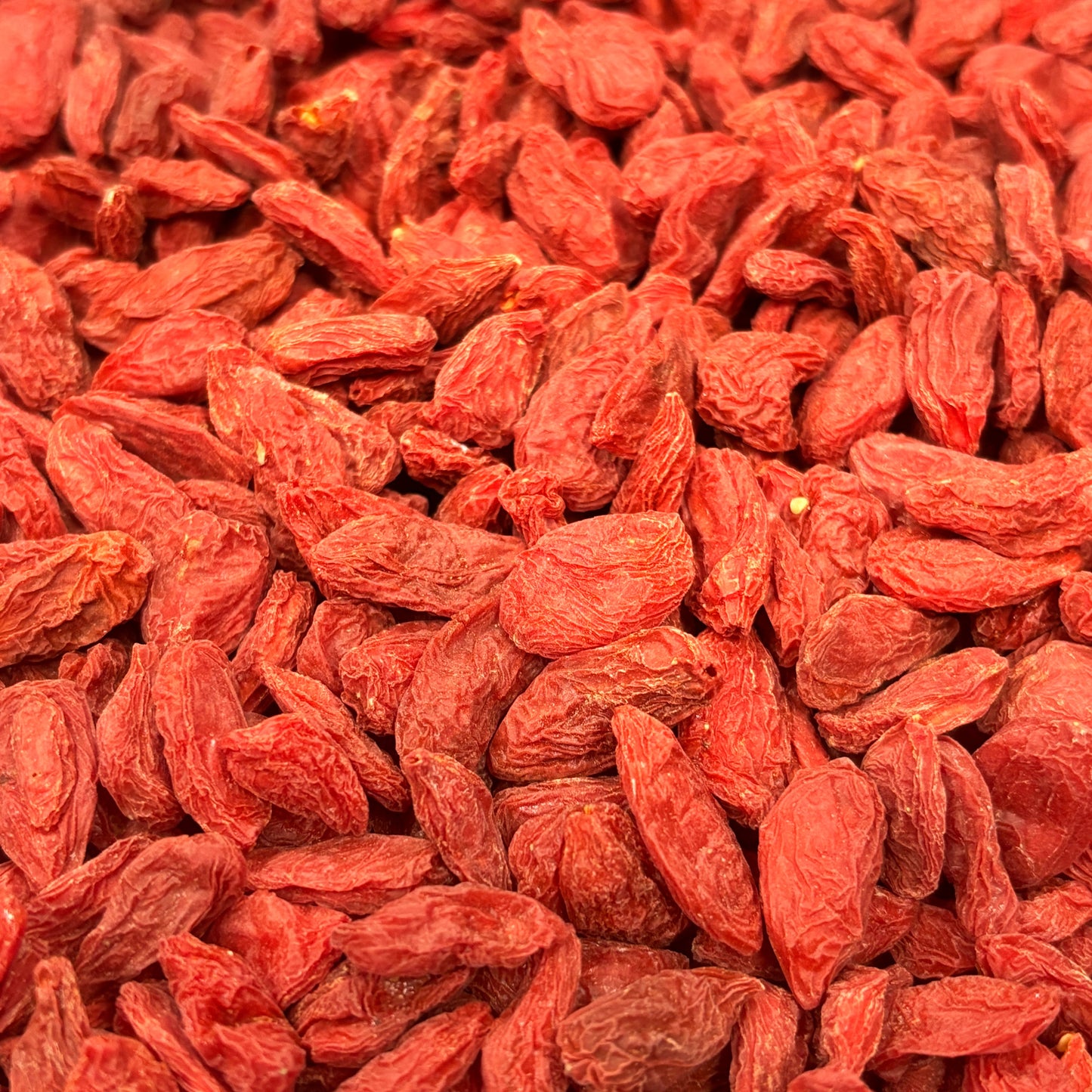 Goji Berry／Lycium barbarum - L - 801089