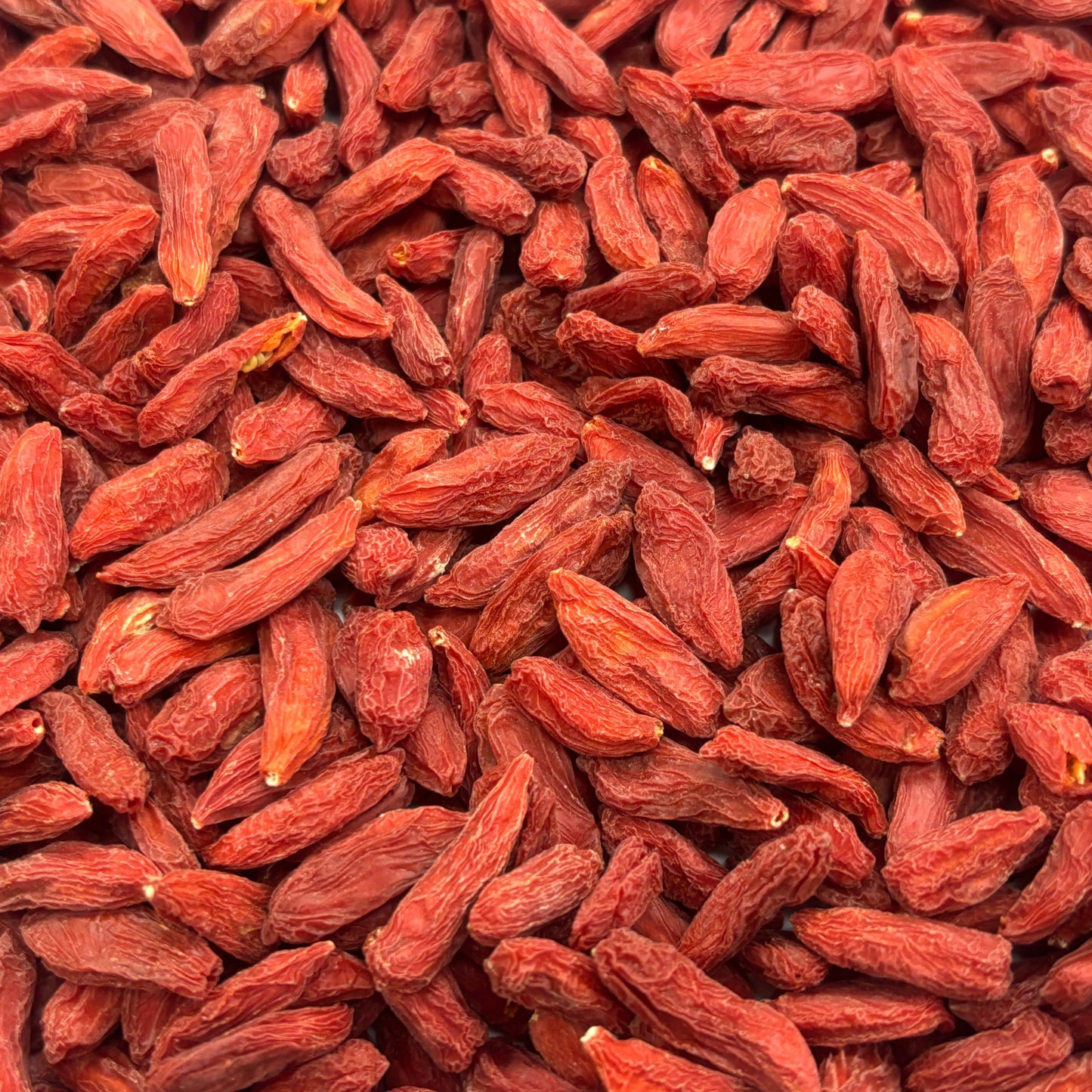 Goji Berry／Lycium barbarum - S - 801087